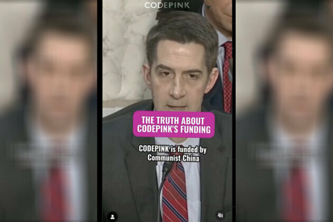 CODEPINK: Funded by the CCP
