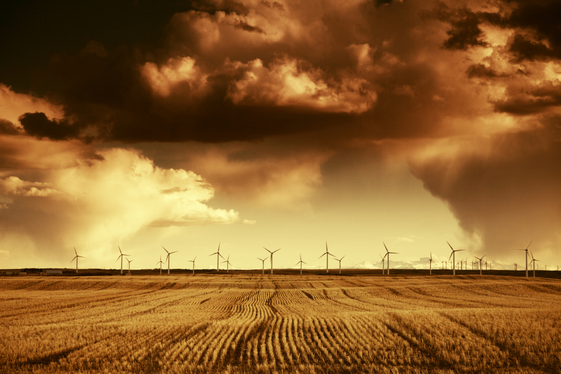 IW Long Reads: Are carbon offsets the answer to the climate change crisis?