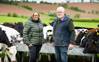 How changing to an integrated calf scheme has brought multiple benefits to one Cumbrian farm