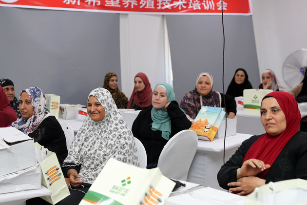 EGYPT-MENOUFIA-POULTRY TRAINING