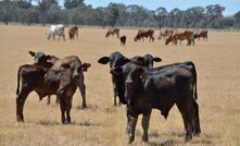 Farm leaders are feeling nervous ahead of free trade agreement negotiations with the EU. 
