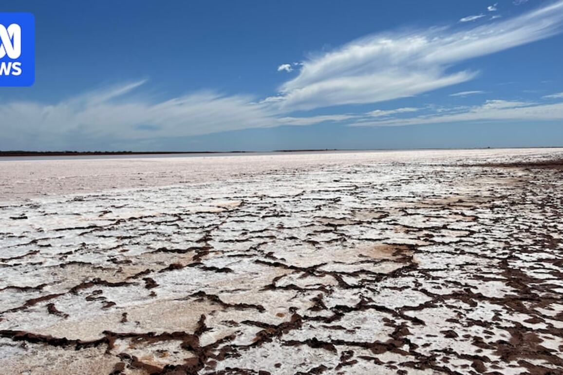 KS Salt Australia scraps Exmouth Gulf solar salt project plans