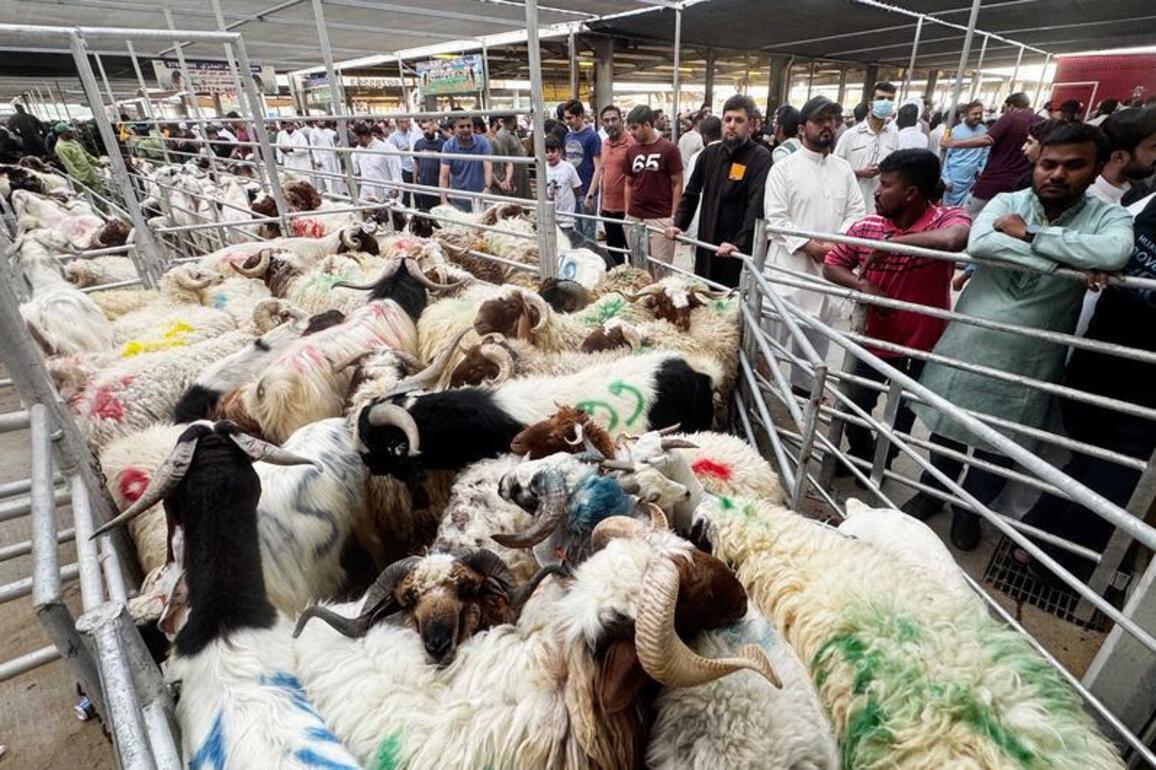 Mideast in Pictures: A bittersweet Eid al-Adha