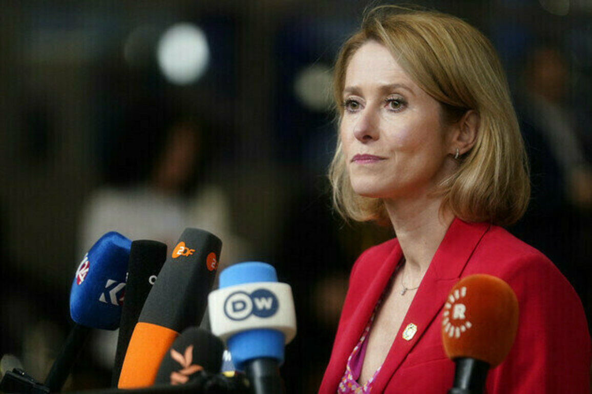 Kallas insists US shouldnt offload Ukraine on EU