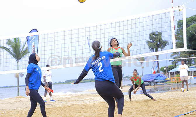 Egypt take control of CAVB Continental Cup Group D Egypt take control of CAVB Continental Cup Group D