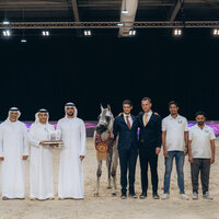 Emirates Arabian Horse Breeders Championship concludes on high note