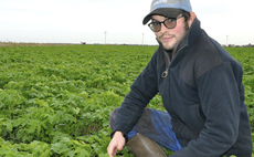How Cambridgeshire farmer cut input costs in half with new approach to soil health