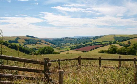 Bluetongue warning to Welsh farmers  