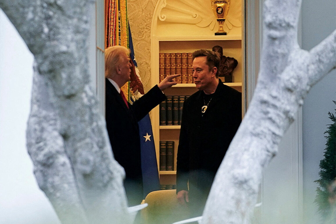 "DOGE is the monster that might have to go back and eat Elon": Trump