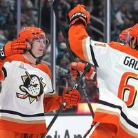 As young Ducks take flight, surging Stars up next