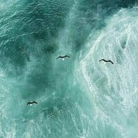 Unprecedented heat in the North Atlantic Ocean kickstarted Europe's hellish 2023 summer. Now we know what caused it
