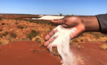 Kalium Lakes claims to be Australia's first brine potash producer