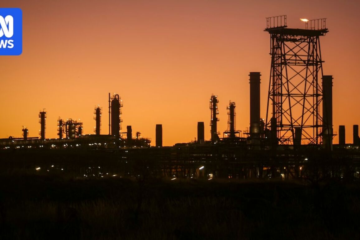 Murray Watt flags Woodside's North West Shelf project extension response could be delayed
