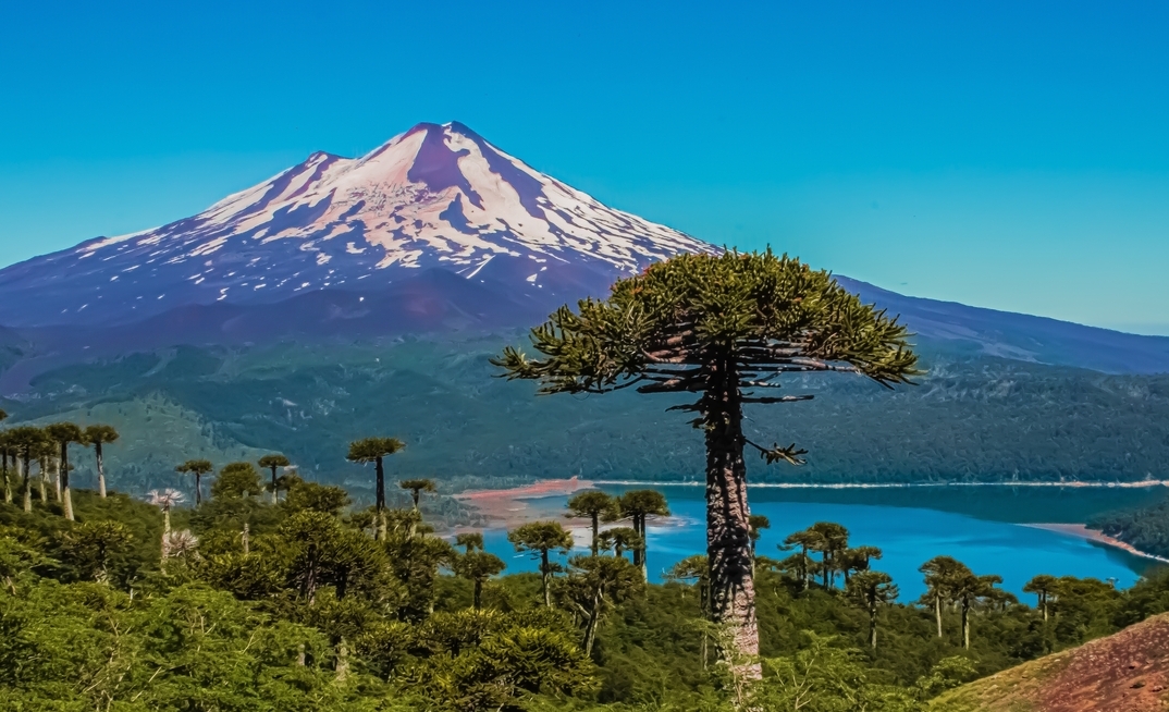 Cobre raising cash for Chilean copper ground