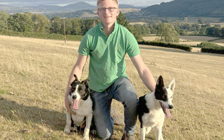 Young Dog Handler Focus - Rory Owen: "Good breeding and type is a must" 