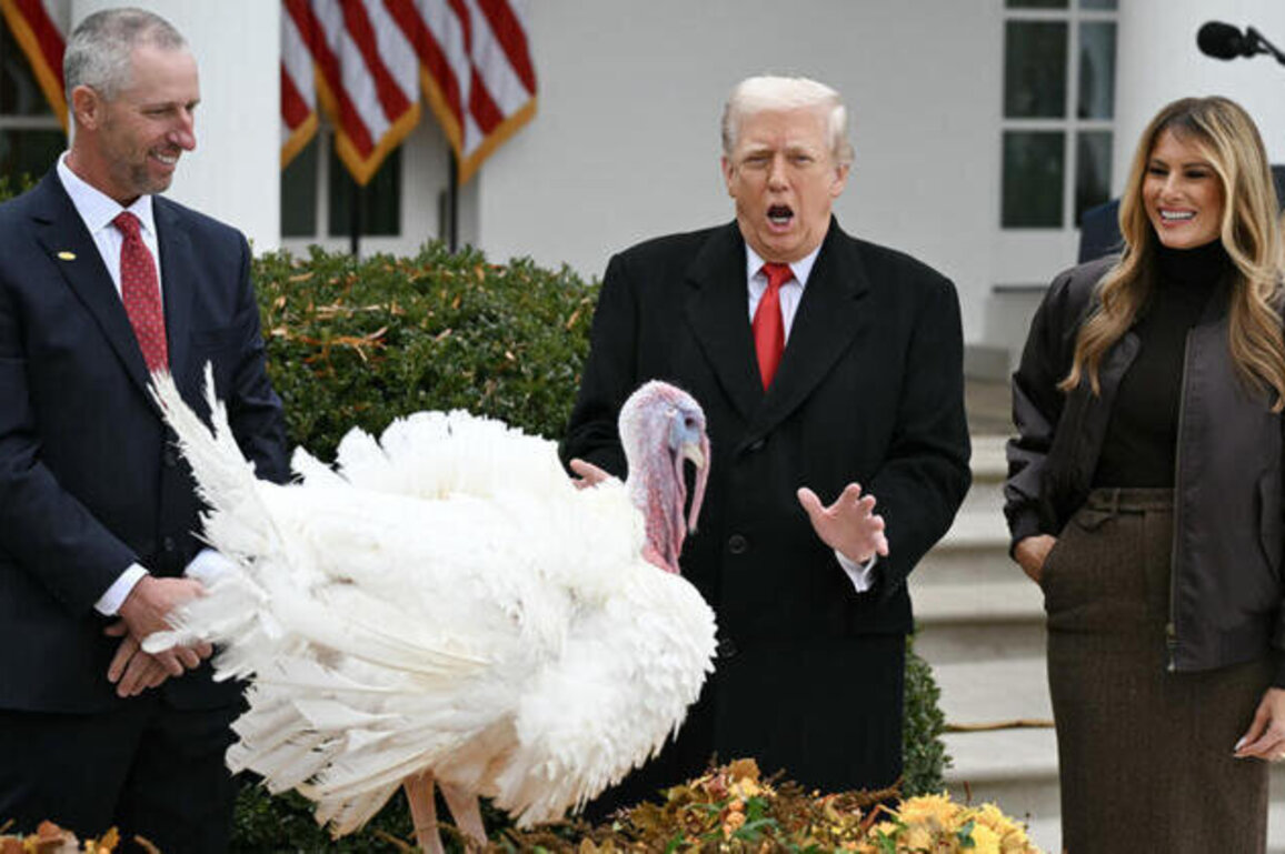 Talking turkey: Trump turns pardon ritual into political roast