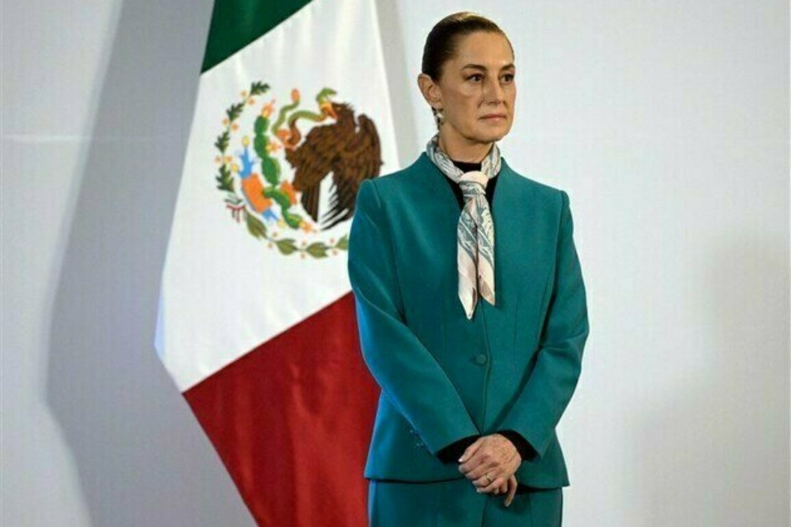 Sheinbaum Says She Rejected Trump's Offer to Send Troops to Mexico