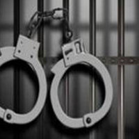 Nigerian illegal immigrant detained; deportation underway: FRRO to Delhi HC