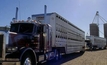 New livestock transport standards for Victoria