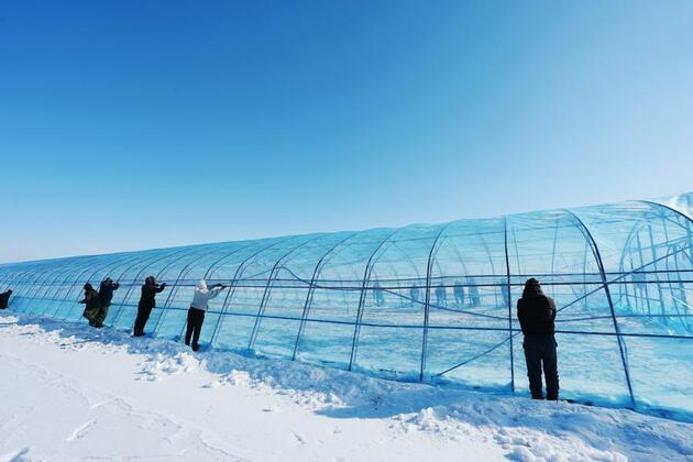 GLOBALink | Reclamation areas enter spring farming season in NE China's Heilongjiang