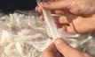 Wool selling system gets green light