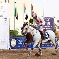 'Fahd Al Ameen' claims title of UAE President Cup for Purebred Arabian Horses in Egypt