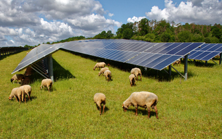 'A big step forward': The green economy reacts to the Land Use Framework