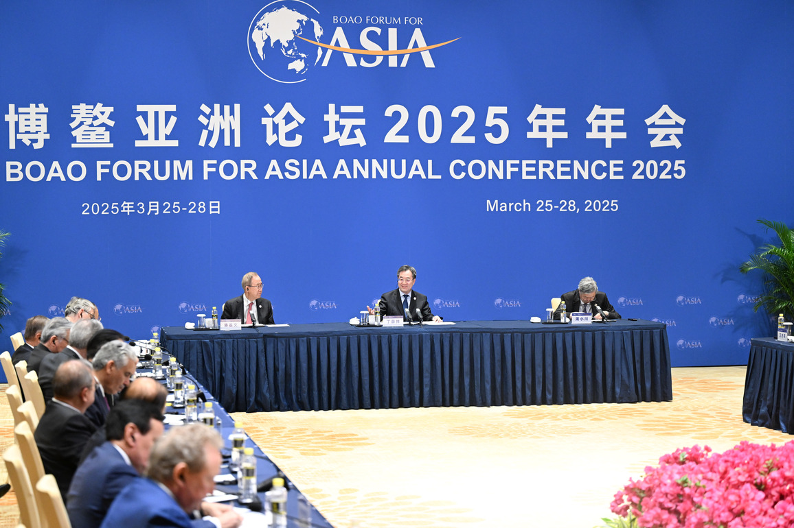 CHINA-HAINAN-BOAO-DING XUEXIANG-BFA-BOARD OF DIRECTORS-MEETING (CN)