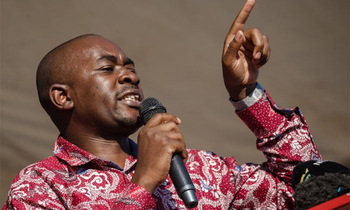 Nelson chamisa 350x210