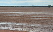 Some areas of Western Australia received much-needed rainfall in March after a long hot, dry spell. Photo: Mark Saunders.