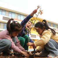 #CHINA-TREE PLANTING DAY (CN)