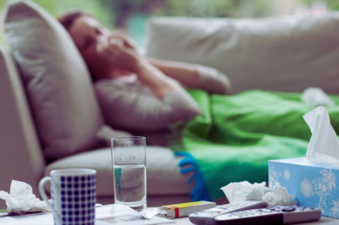 Bulgaria Expects Flu Wave to Peak by End of January