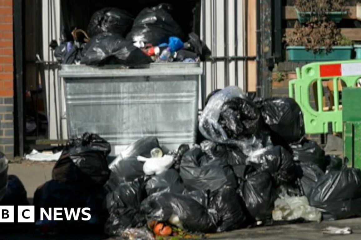 Thick stench and piles of bin bags- Birmingham bin strikes five weeks on
