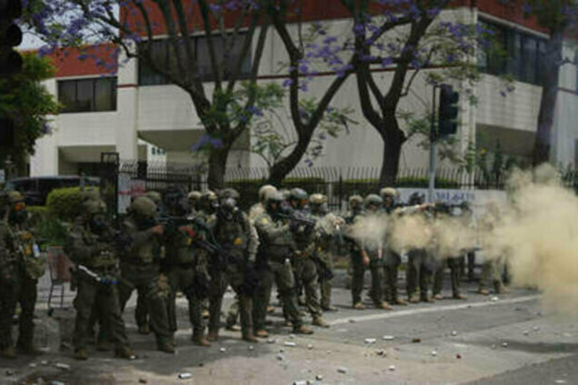 Trump orders National Guard to quell California riots (VIDEOS)
