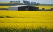 CSIRO and the GRDC have developed a Crop Flowering Calculator that can be used for grains including canola. 
