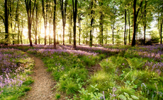 ESG in the UK: Maintaining green and pleasant lands 