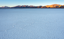 Salt flat of Maricunga at sunrise, Nevado Tres Cruces National Park, Chile. Photo: Alberto Loyo / Shutterstock