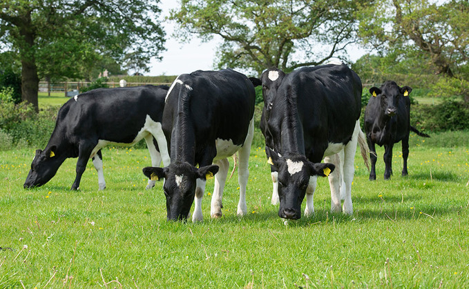 Changes to dairy genetic indexes reflect economic outlook and farmer feedback