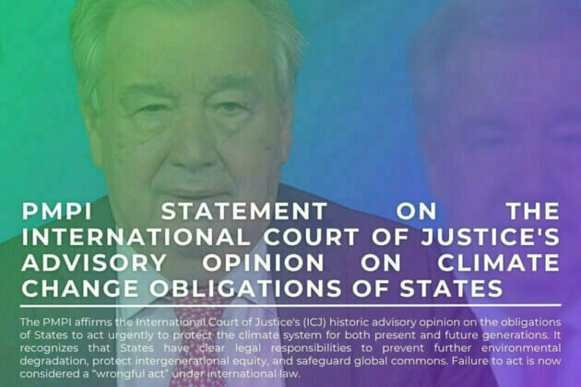 On the Climate Change Obligations of States: The International Court of Justice's Advisory Opinion