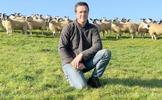 In your field: Thomas Carrick - 'It's hard to see how the lambs handled the cold so well'