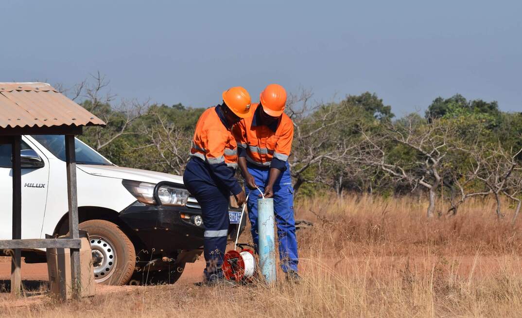 Perseus bows out of Bankan bidding battle