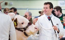 Young Farmer Focus: Ben Lewis - 'We need to safeguard the future of the beef industry'