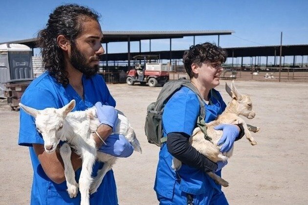 CA animal activist faces prison for rescuing sick goats and dogs