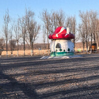 Eco-friendly oilfield brings harmony to Yellow River estuary