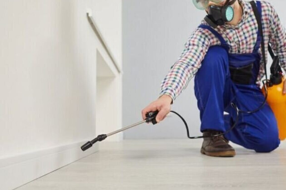 How property managers can prevent pest problems in short stay rentals