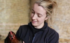 Careers special: New entrant 'welcomed' into poultry sector
