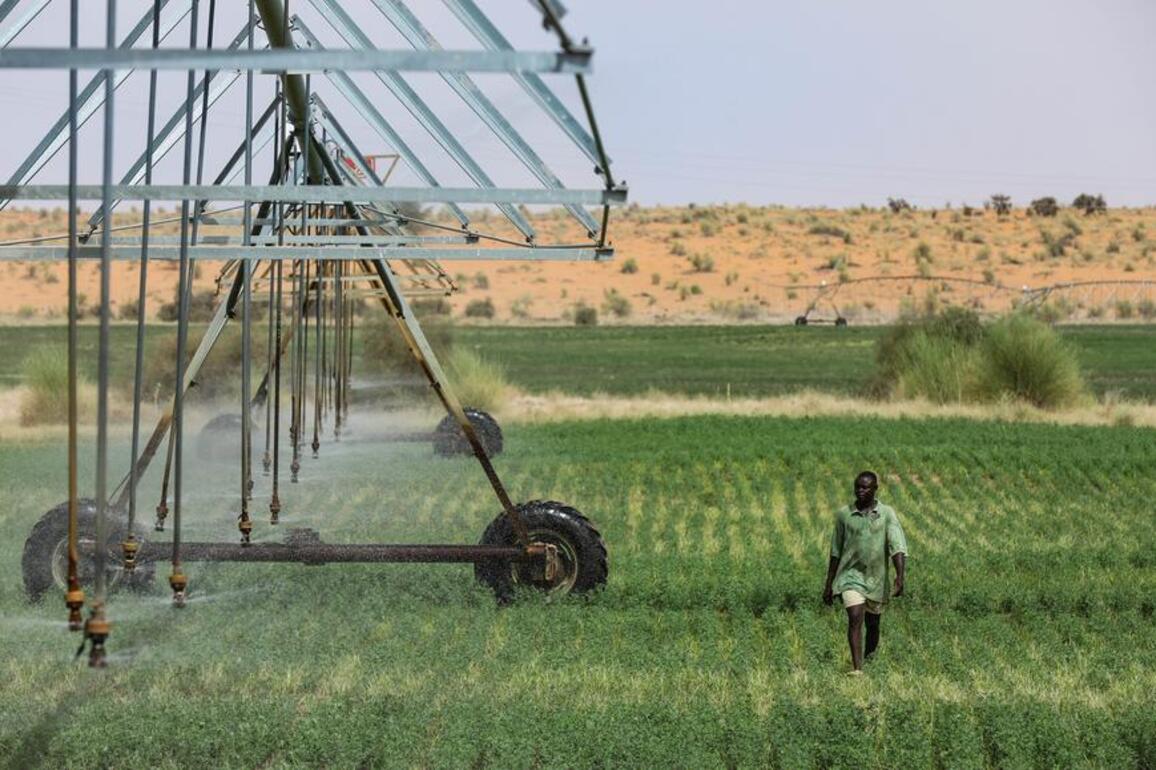 Xiconomics: How Xi's green vision sparks hope for a sustainable world
