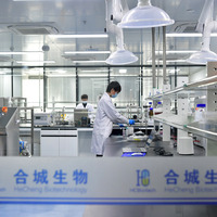 #CHINA-ANHUI-FEIXI-EMERGING INDUSTRIES-DEVELOPMENT (CN)