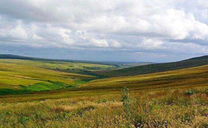 Scottish deer stalkers can now benefit from a new pilot project Scottish deer stalkers can now benefit from a new pilot project