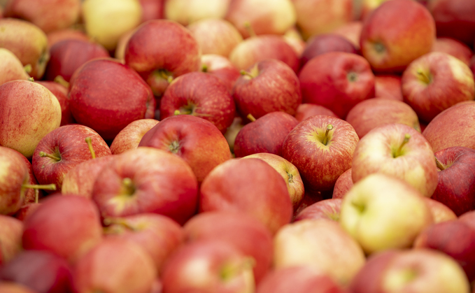 British Apples and Pears British Apples and Pears